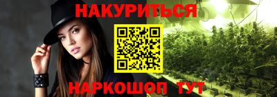 гашик Дубна