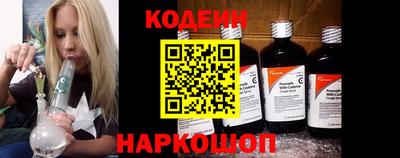 гашик Дубна