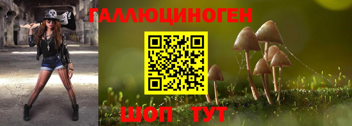 Псилоцибиновые грибы мицелий  Вход с VPN  Нерюнгри 