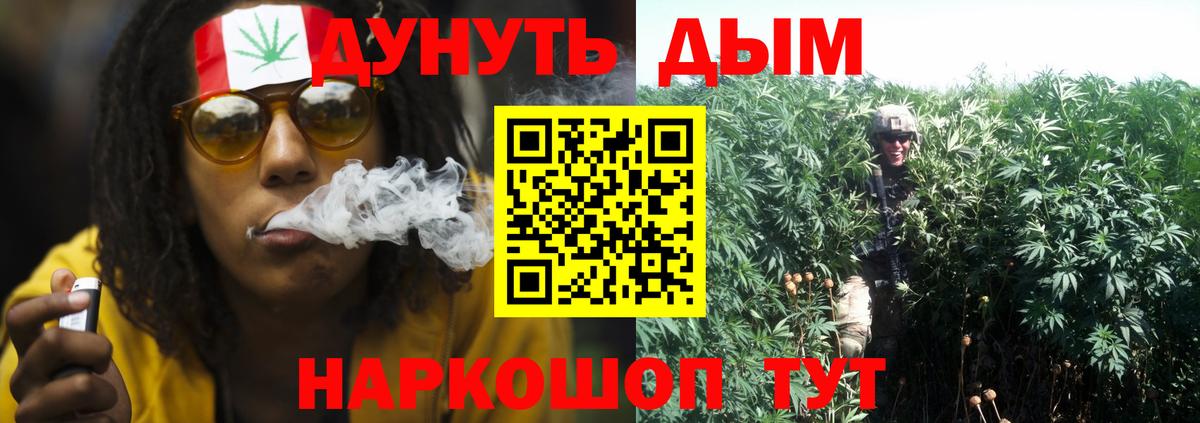 Бошки марихуана SATIVA & INDICA Нерюнгри